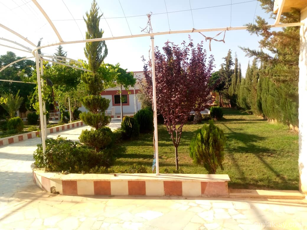 صورة العقار
