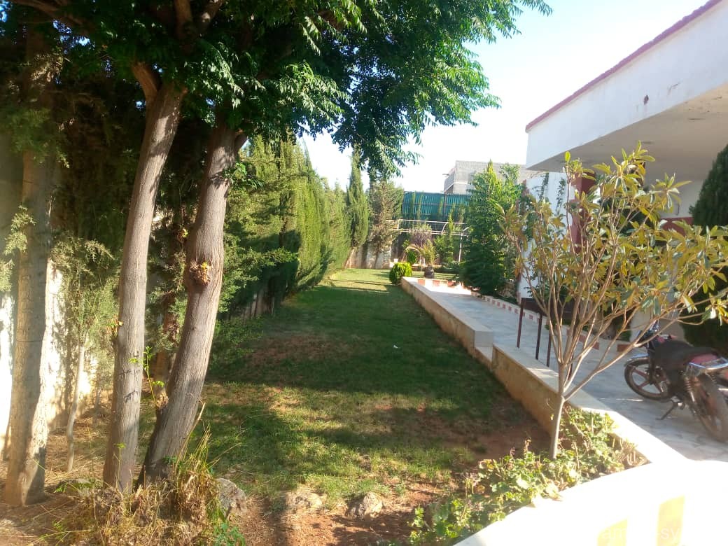 صورة العقار