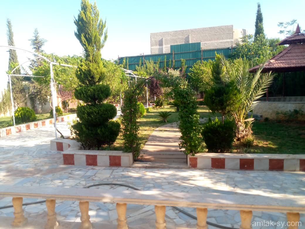 صورة العقار