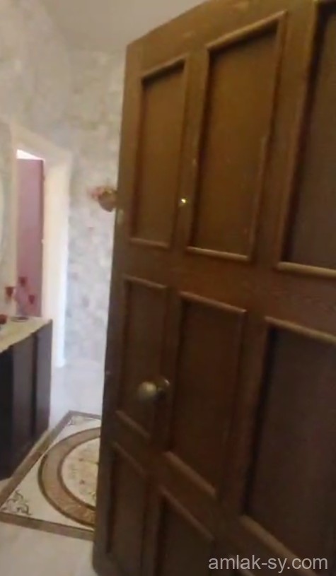 صورة العقار