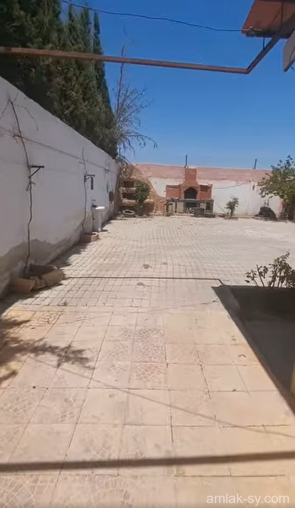 صورة العقار