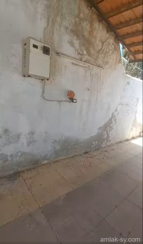صورة العقار