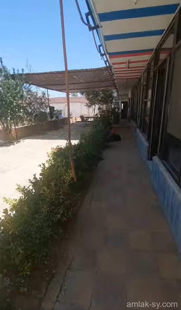 صورة العقار