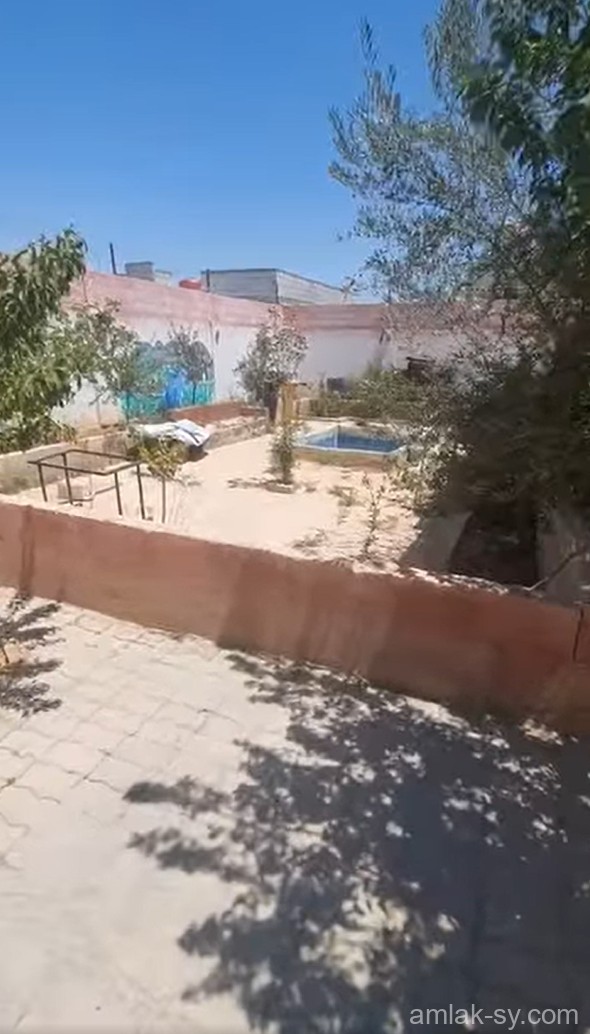 صورة العقار