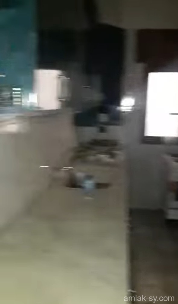 صورة العقار