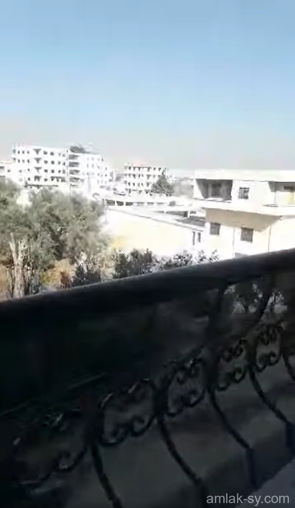 صورة العقار