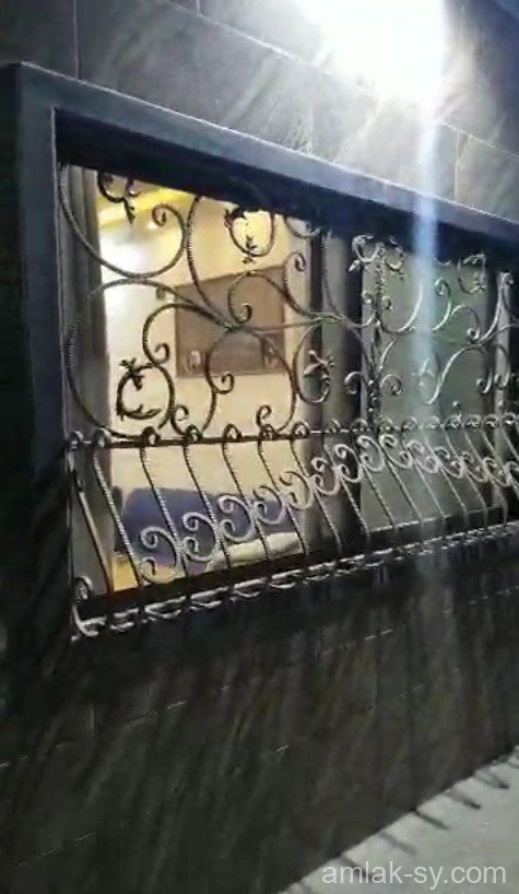 صورة العقار