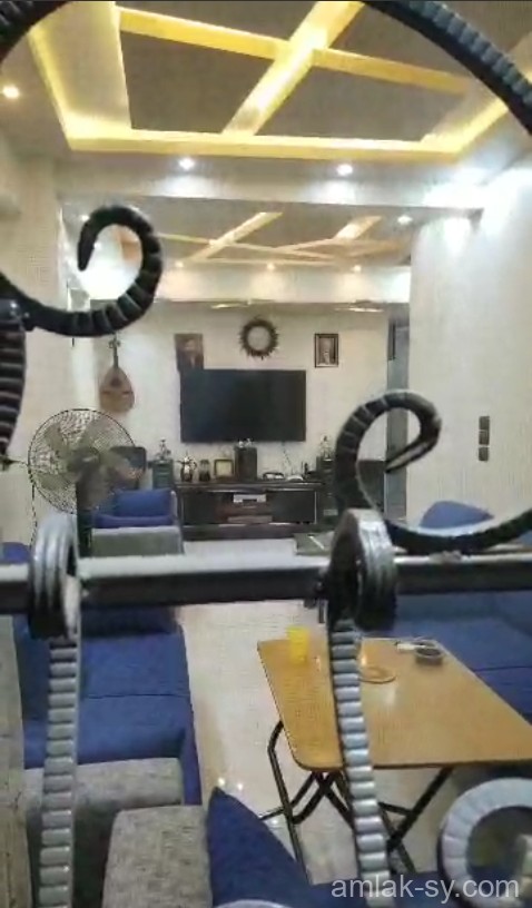 صورة العقار