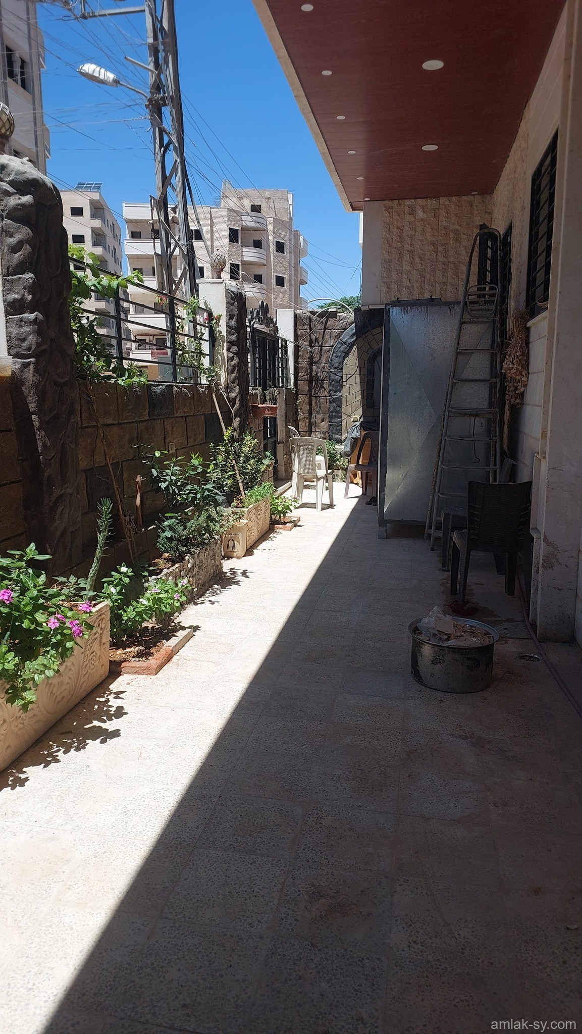 صورة العقار