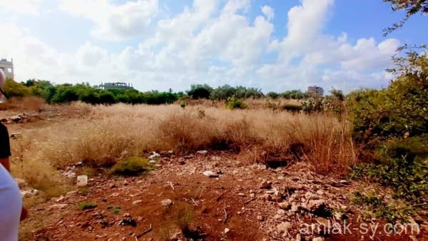 صورة العقار