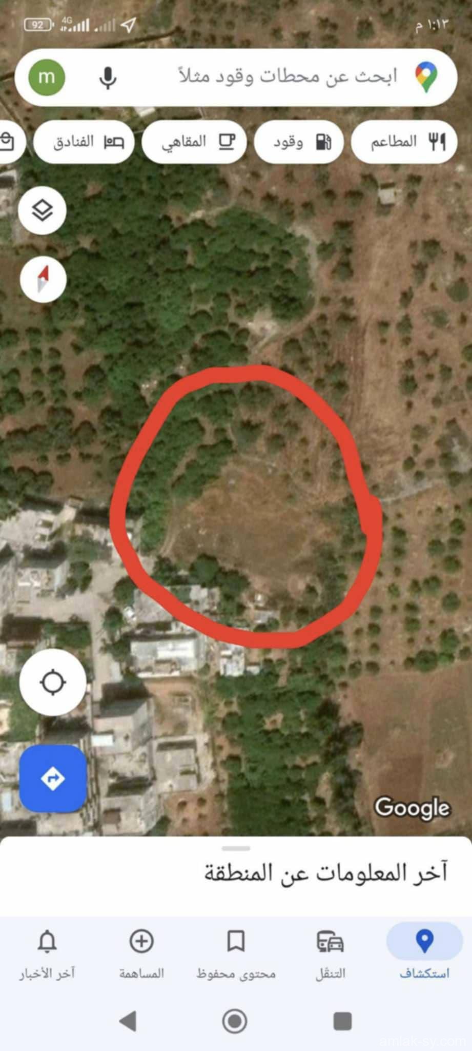 صورة العقار