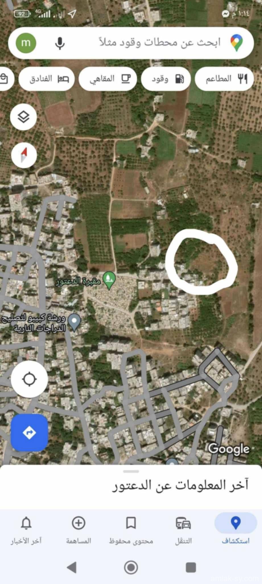 صورة العقار