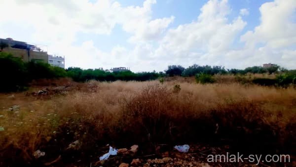 صورة العقار