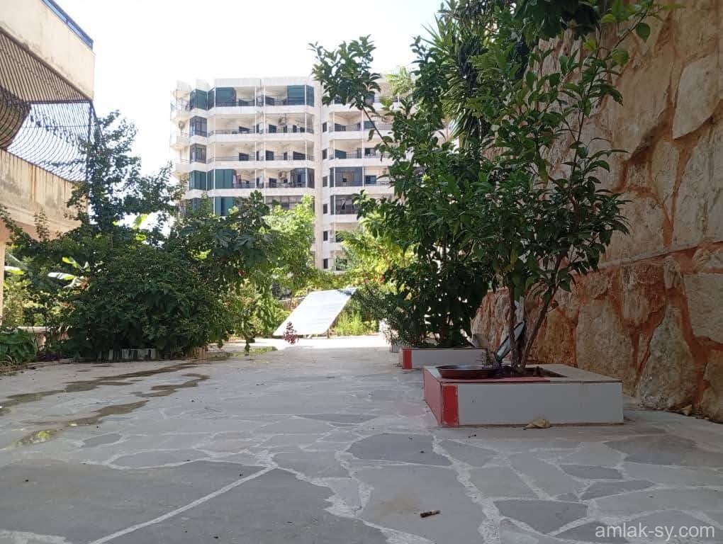 صورة العقار