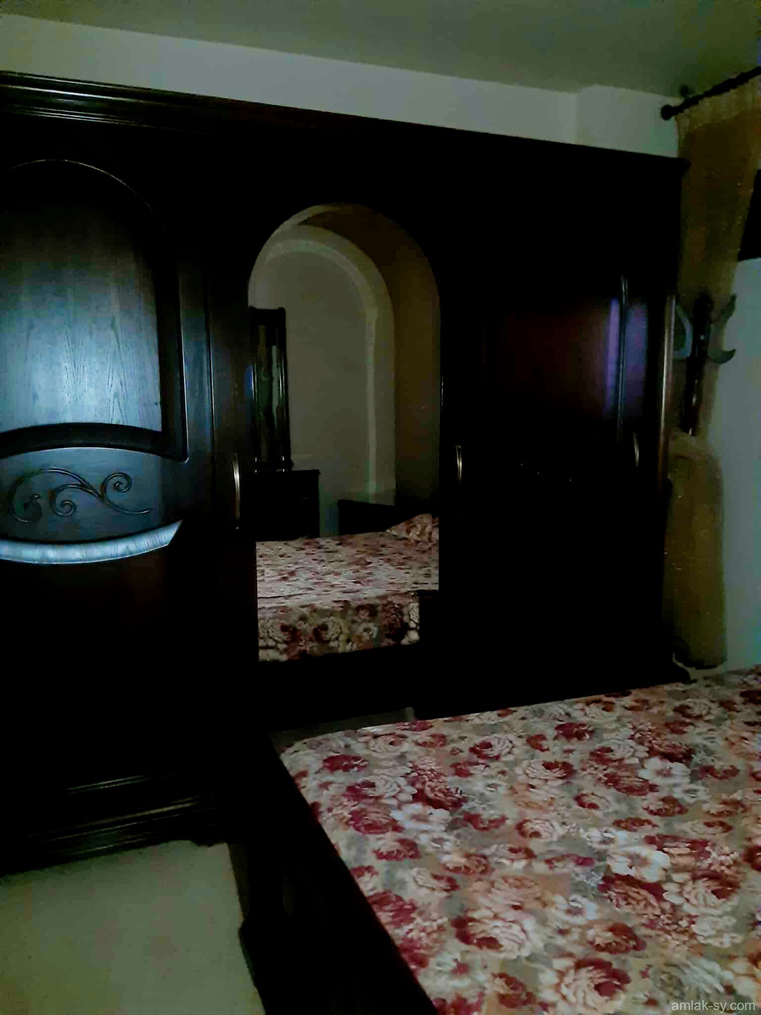 صورة العقار