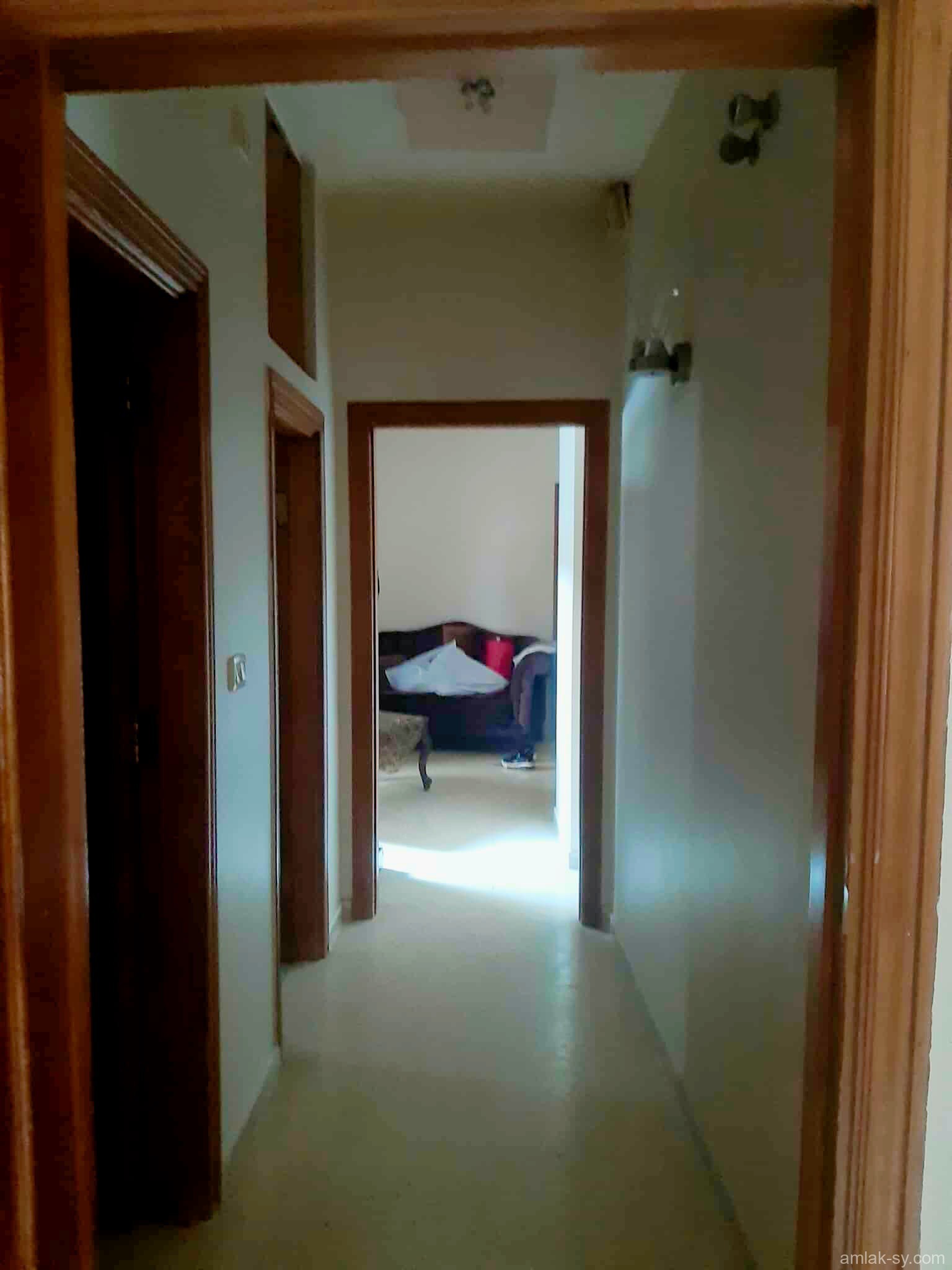 صورة العقار