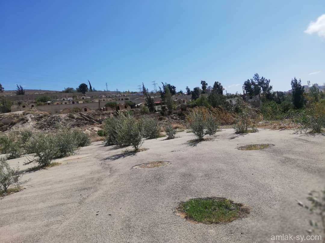 صورة العقار
