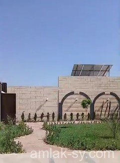 صورة العقار