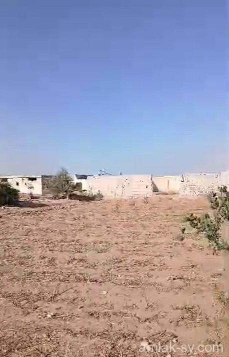 أرض 850م في زبدين للبيع (587)