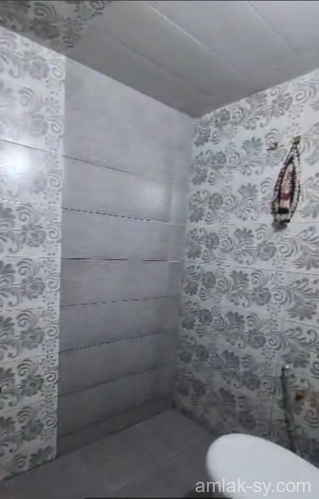 صورة العقار