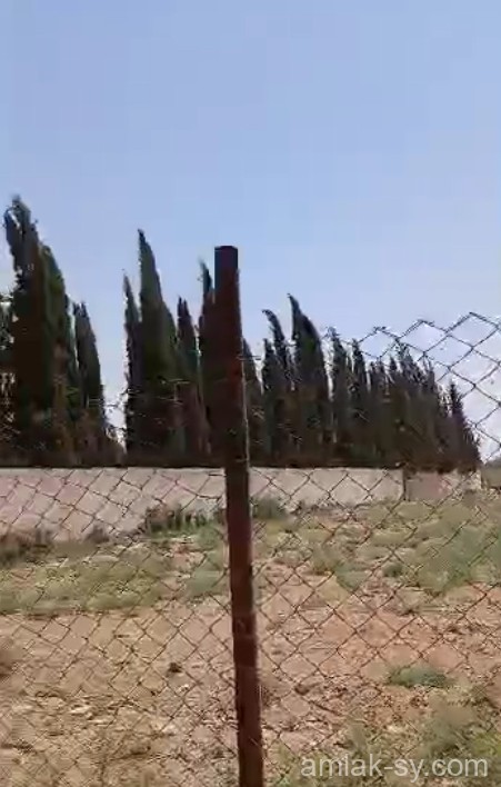 صورة العقار