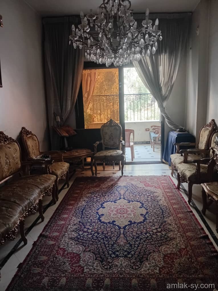 صورة العقار