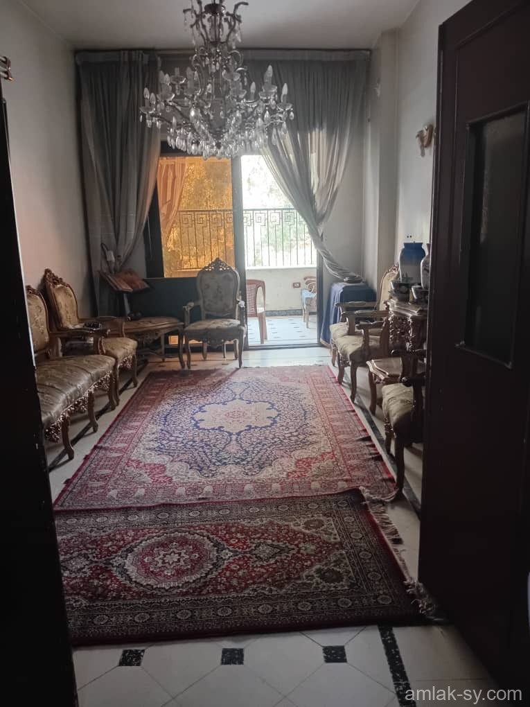 صورة العقار