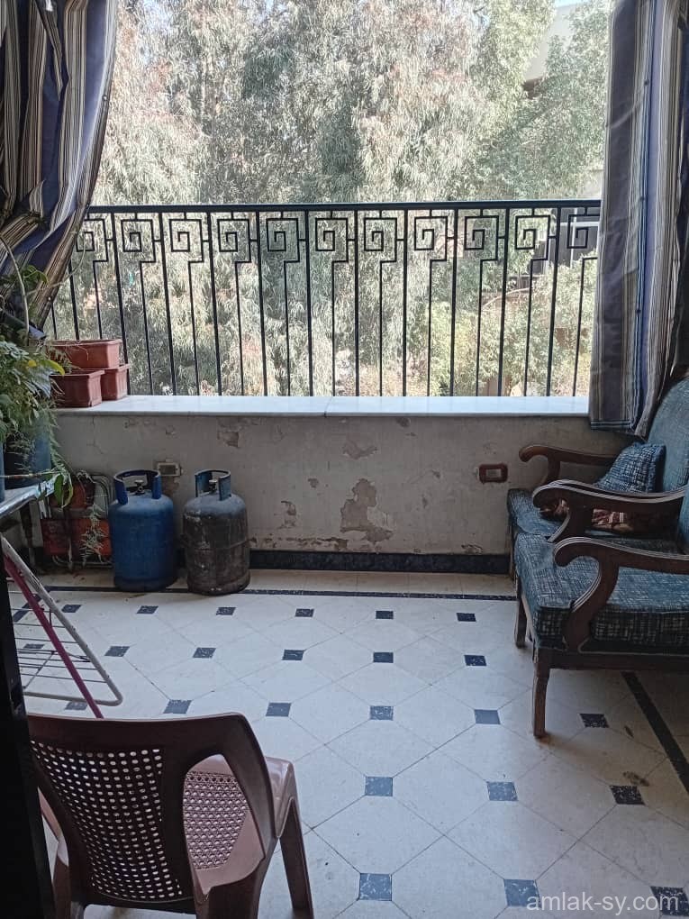 صورة العقار
