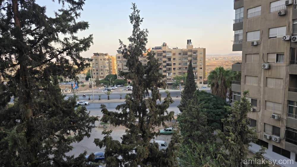 صورة العقار