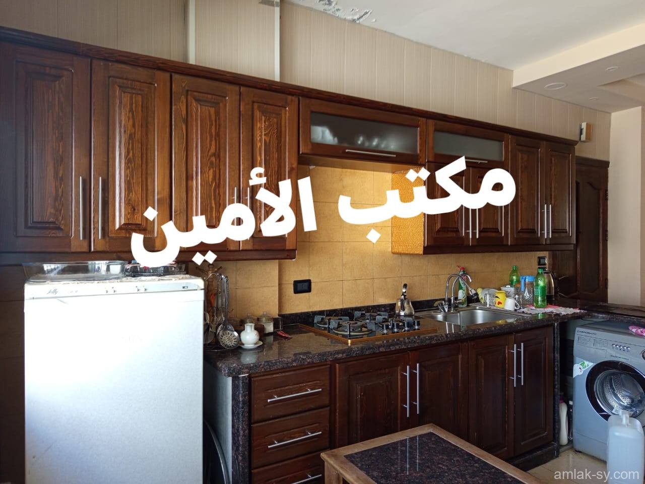 صورة العقار