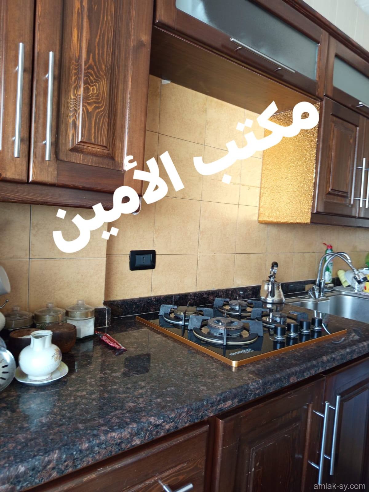 صورة العقار