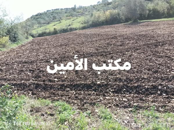 أرض 2000م في الشيخ بدر للبيع