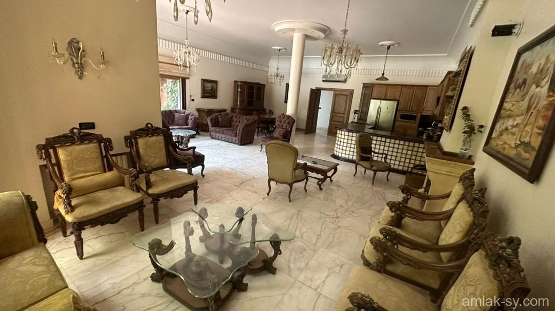 صورة العقار