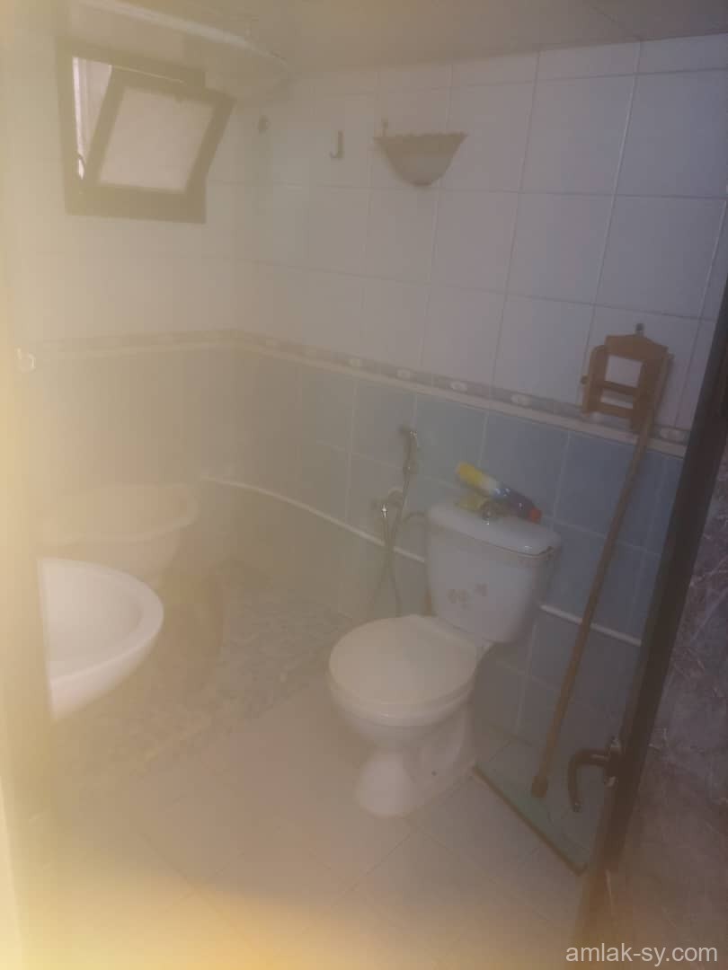 صورة العقار