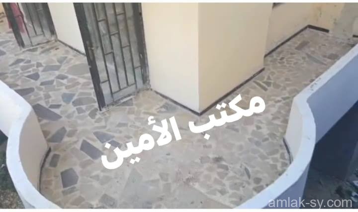 صورة العقار