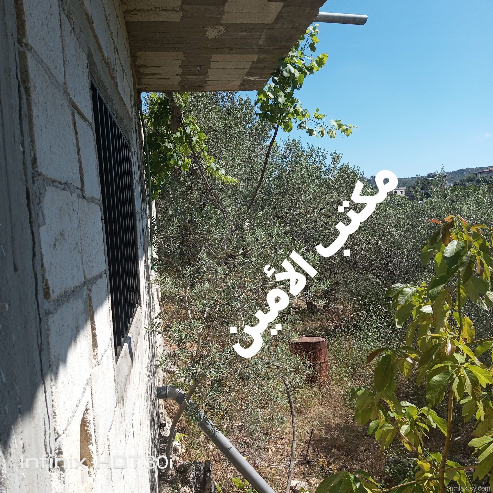صورة العقار