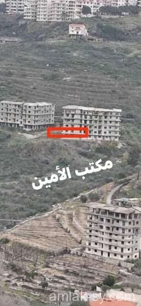 صورة العقار
