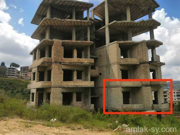صورة العقار