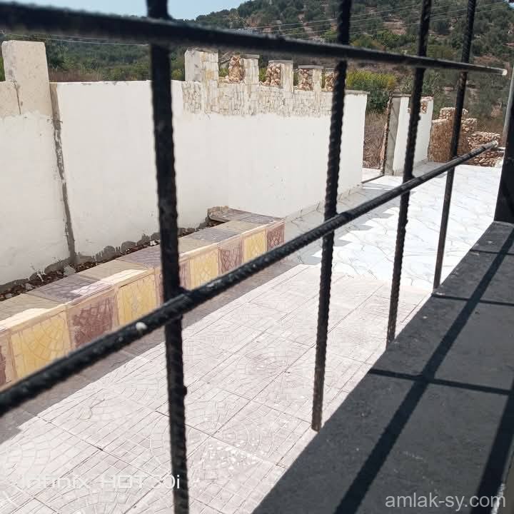 صورة العقار
