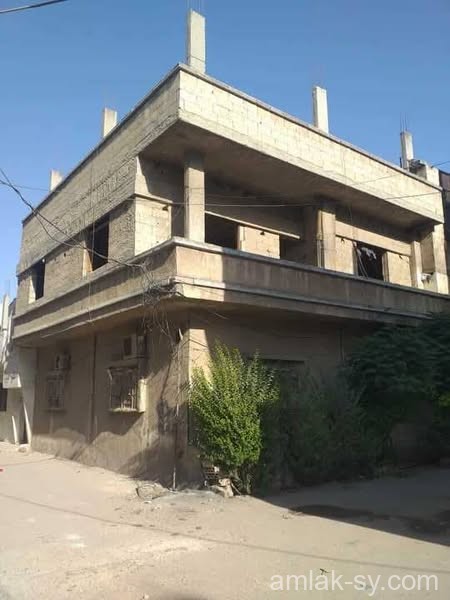صورة العقار