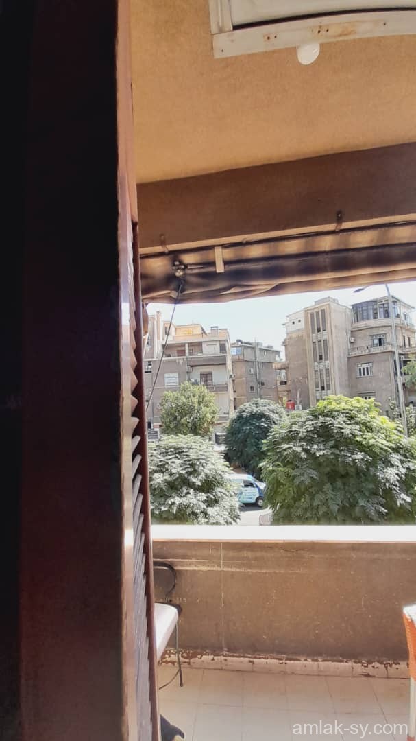 صورة العقار