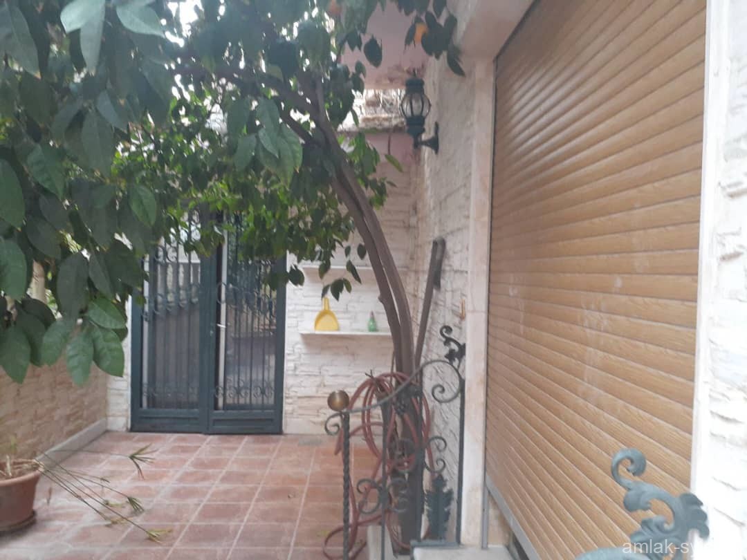 صورة العقار