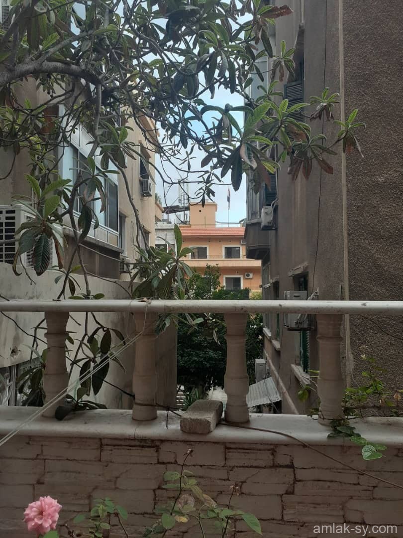 صورة العقار