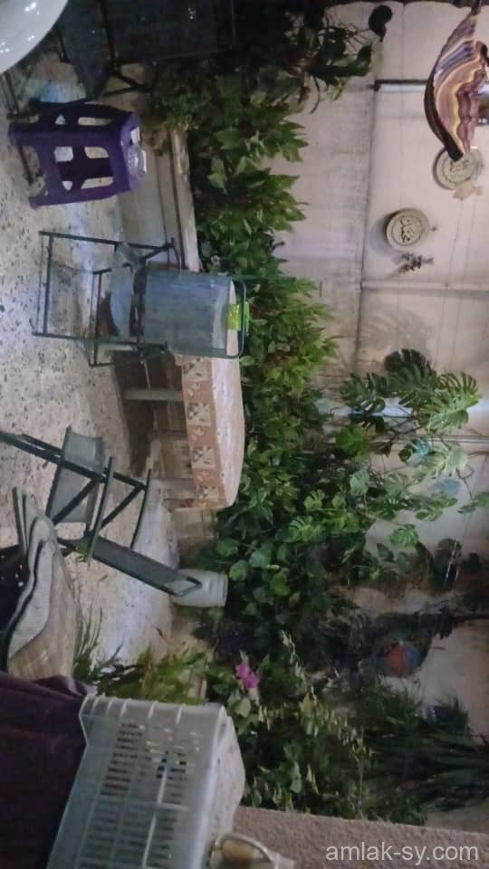 صورة العقار