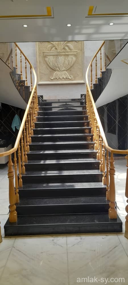 صورة العقار
