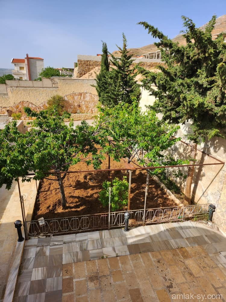 صورة العقار