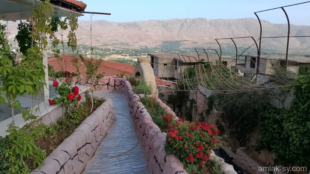صورة العقار