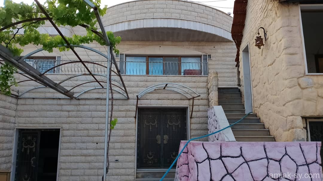 صورة العقار
