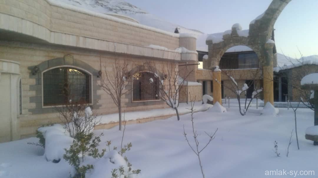 صورة العقار
