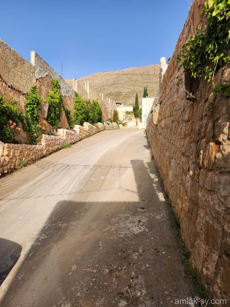 صورة العقار